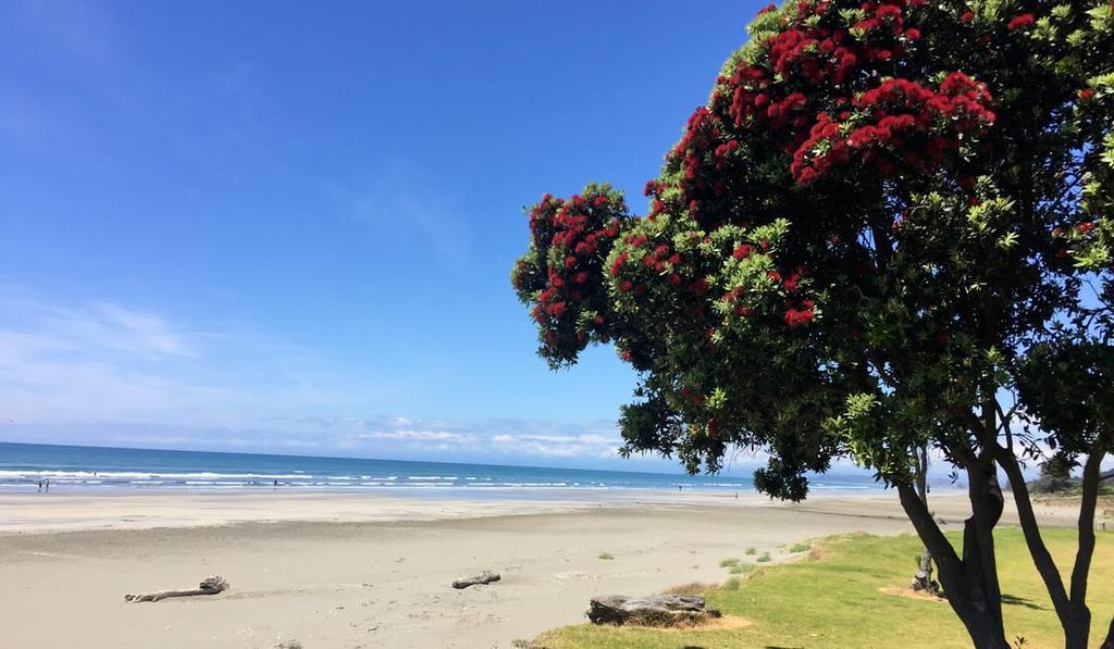 Whakatane Hotel Εξωτερικό φωτογραφία